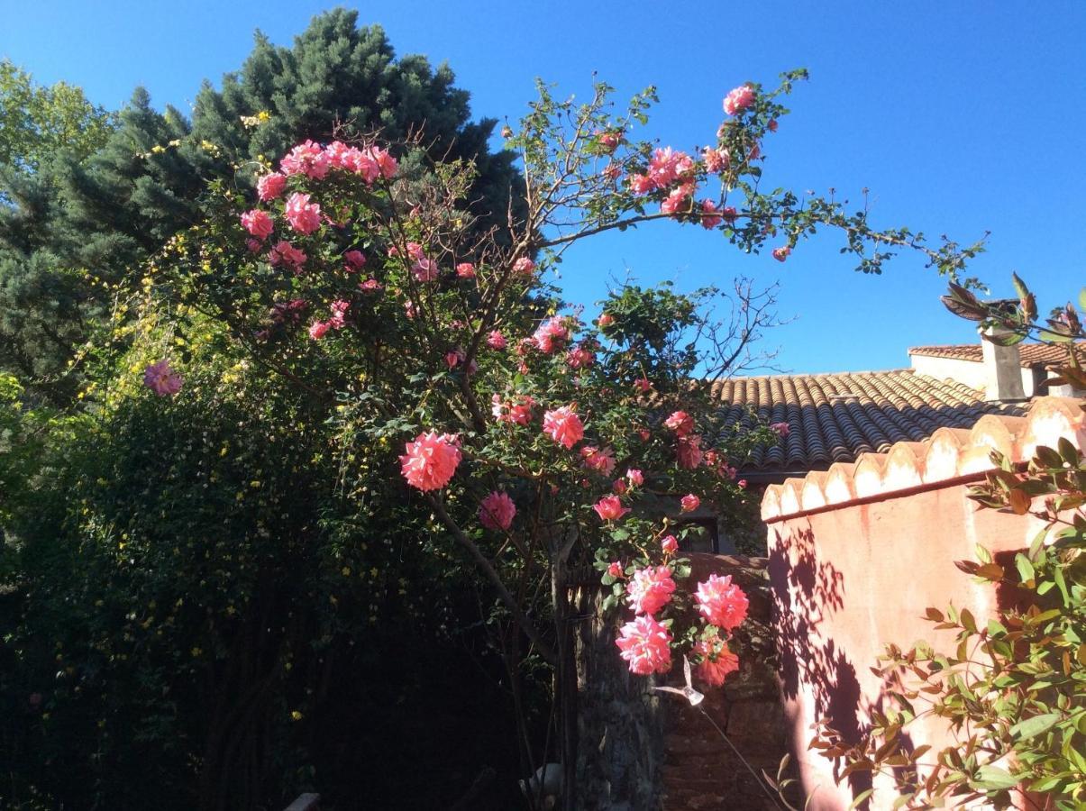 Collobrières La Provence Authentique A 30 Minutes Des Plages מראה חיצוני תמונה